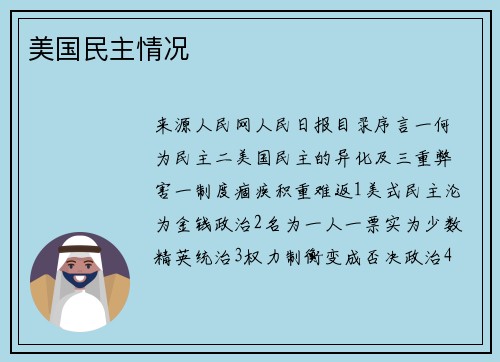 美国民主情况